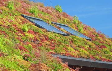 Isle Brewers living roof systems